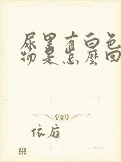 尿里有白色块状物是怎么回事