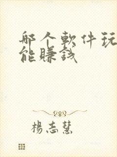 哪个软件玩游戏能赚钱