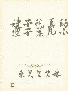 嫂子我真的不是傻子叶凡小说 原名