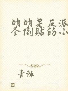 明明是反派女主全倒贴的小说