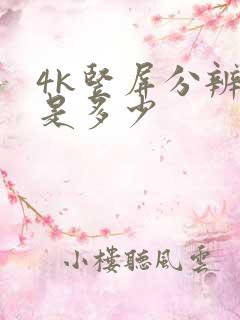 4k竖屏分辨率是多少