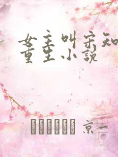 女主叫宋知意的重生小说