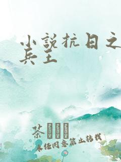 小说抗日之特战兵王