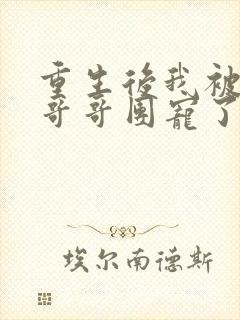 重生后我被四个哥哥团宠了大结局