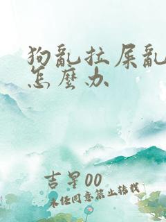 狗乱拉屎乱拉尿怎么办