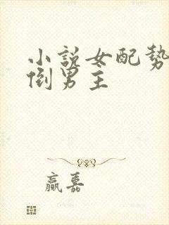 小说女配势要扑倒男主