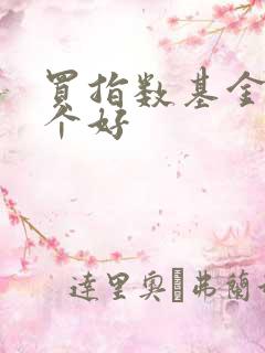 买指数基金买哪个好