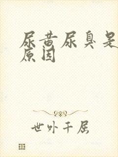 尿黄尿臭是什么原因