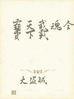 霸天武魂全本免费下载