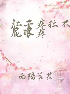 肚子疼拉不出屎屁眼疼