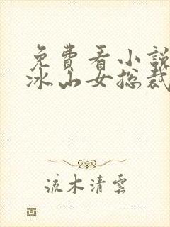 免费看小说我的冰山女总裁