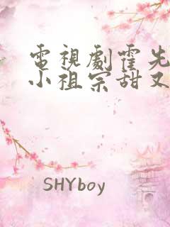 电视剧霍先生的小祖宗甜又美