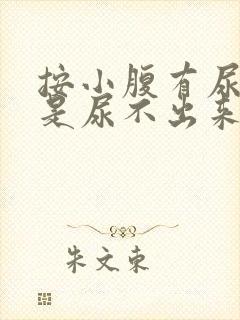 按小腹有尿意但是尿不出来