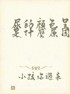 尿的颜色呈茶色是什么原因