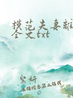 模范夫妻离婚了全文txt