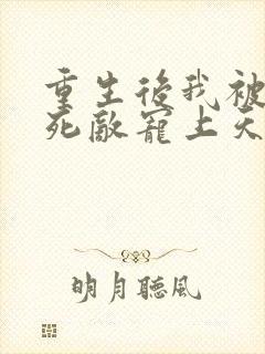 重生后我被渣男死敌宠上天