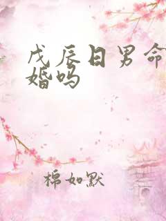 戊辰日男命是二婚吗