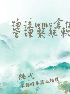 物流wms仓储管理系统软件