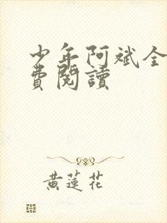 少年阿斌全文免费阅读