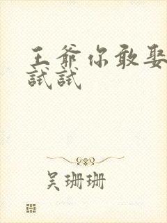 王爷你敢娶小三试试