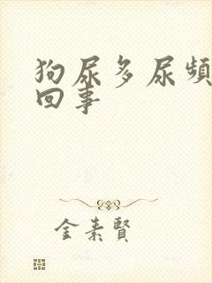 狗尿多尿频怎么回事