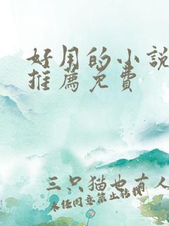 好用的小说软件推荐免费