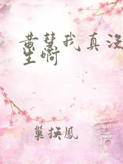 黄慧我真没想重生啊