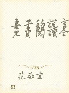 妻子的谎言小说免费阅读全文