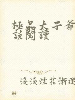 极品太子爷 小说阅读