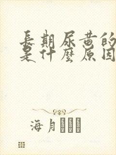 长期尿黄的原因是什么原因是