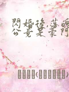 闪婚后,落魄老公竟是豪门继承人