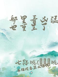 哪里看凶猛道侣也重生了