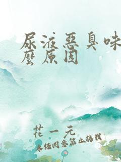 尿液恶臭味是什么原因