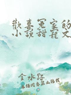 欢喜冤家的古言小说甜宠文