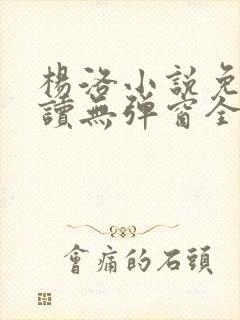 杨洛小说免费阅读无弹窗全文