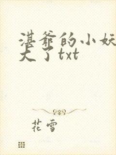 湛爷的小妖精长大了txt