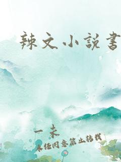 辣文小说书包网