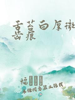 舌苔白厚微黄有齿痕