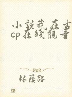 小说我在古代嗑cp在线观看