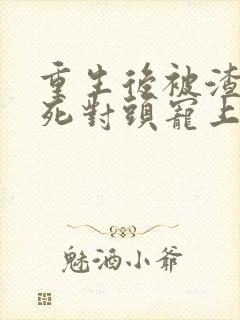 重生后被渣男的死对头宠上天短剧