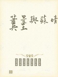 萧晨与苏晴全能兵王