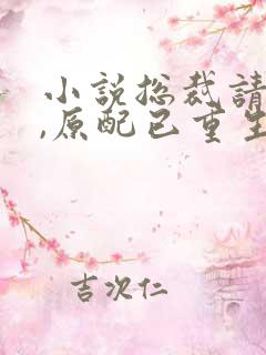 小说总裁请勿扰,原配已重生全文阅读