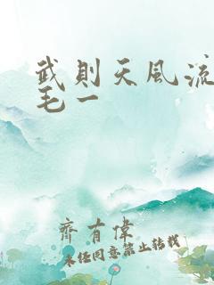 武则天风流艳情毛一