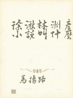 徐湫林洲彦原著小说叫什么