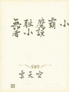 无耻魔霸小说原著小说