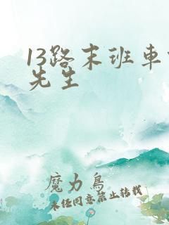 13路末班车何先生