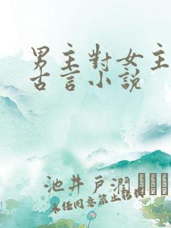 男主对女主用刑古言小说