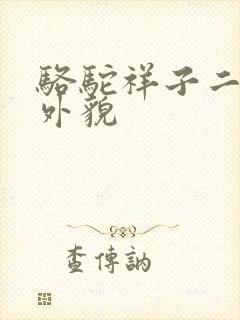 骆驼祥子二强子外貌