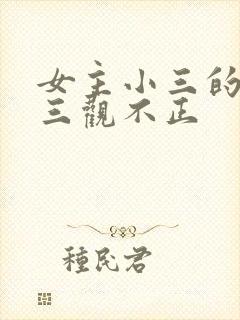 女主小三的小说三观不正