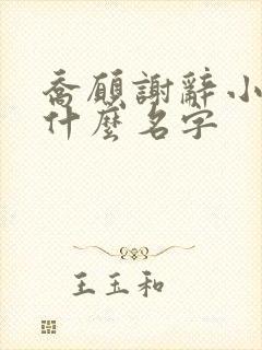 乔愿谢辞小说叫什么名字